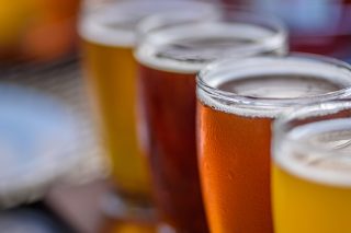 beer